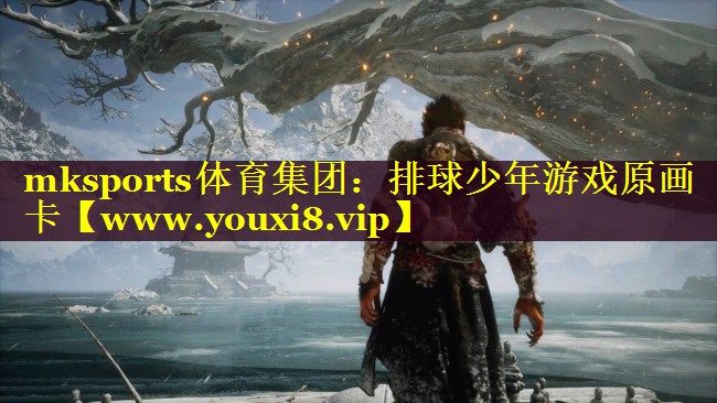 mksports体育集团：排球少年游戏原画卡