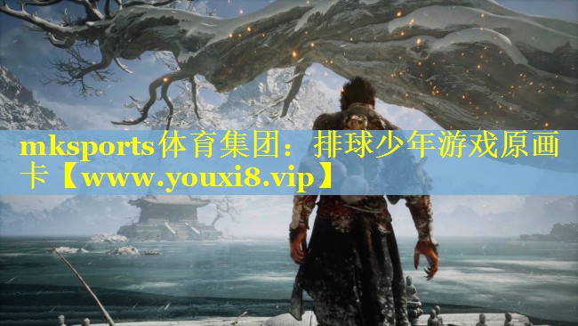 排球少年游戏原画卡