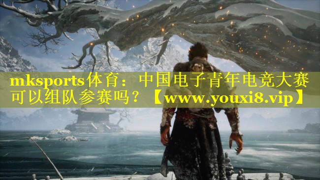 中国电子青年电竞大赛可以组队参赛吗？