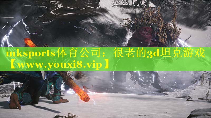 很老的3d坦克游戏